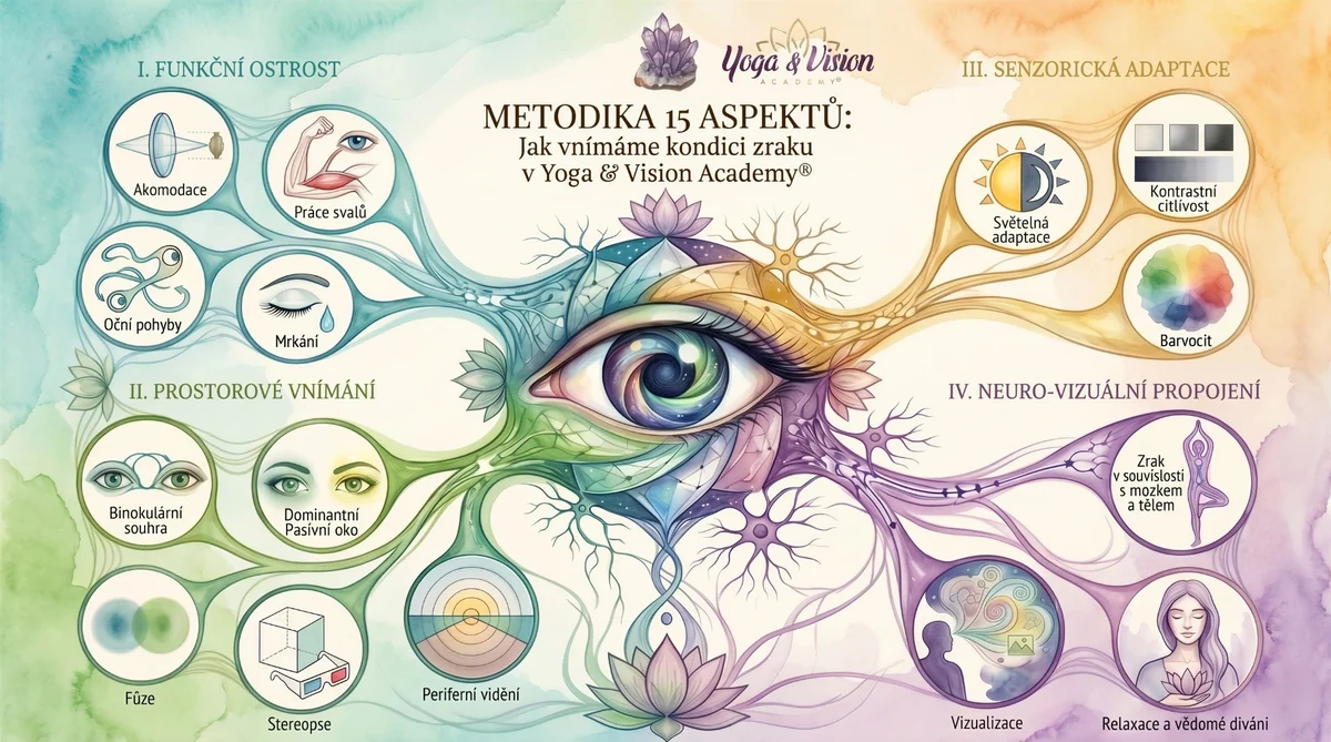 Metodika 15 aspektů zraku — jak Yoga & Vision Academy® vnímá kondici zraku: funkční ostrost, prostorové vnímání, senzorická adaptace a neuro-vizuální propojení