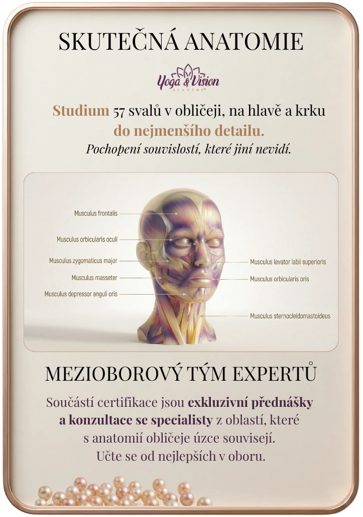 Mezioborový tým expertů nad skutečnou anatomií tváře