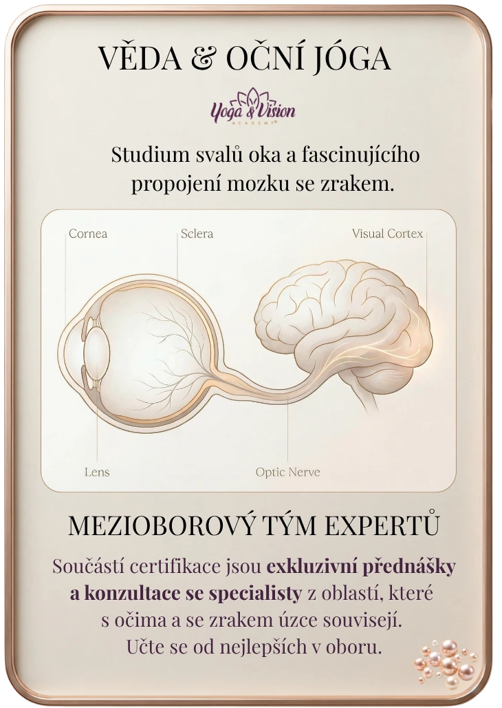 Anatomické propojení oka a mozku — vědecký základ oční jógy